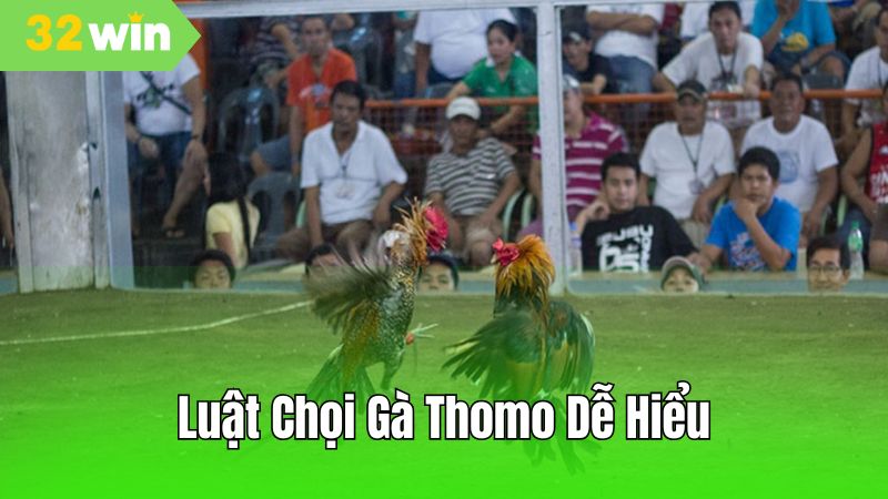 Quy luật dễ hiểu, dễ chơi, giúp bạn làm chủ ván đấu