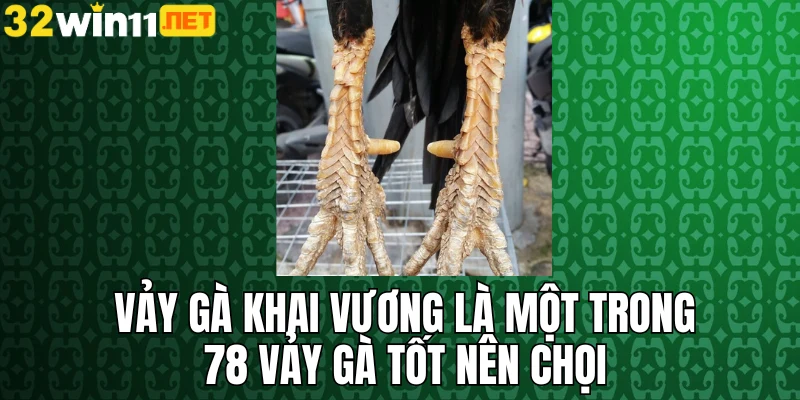 Vảy gà khai vương là một trong 78 vảy gà tốt nên chọi