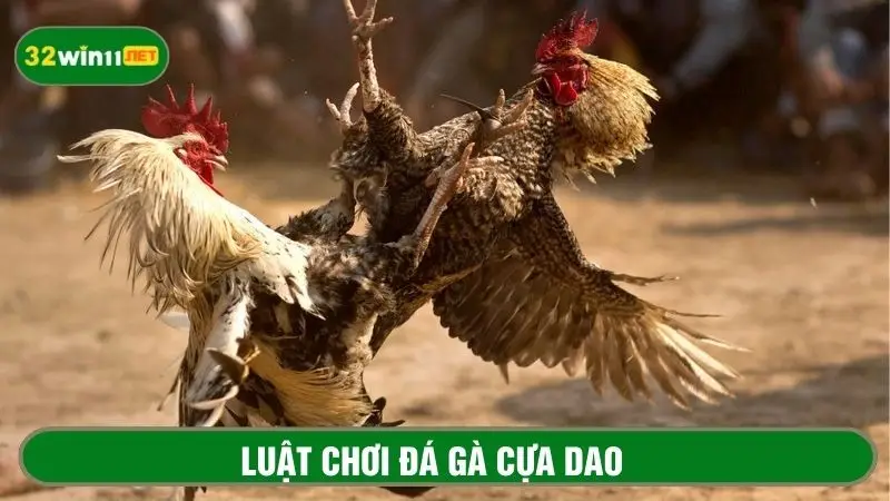 Chi tiết luật chơi bộ môn đá gà cựa dao 