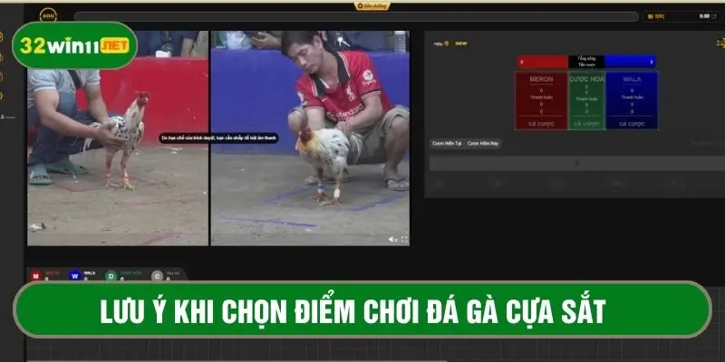 Những lưu ý khi chọn điểm cá cược đá gà uy tín 