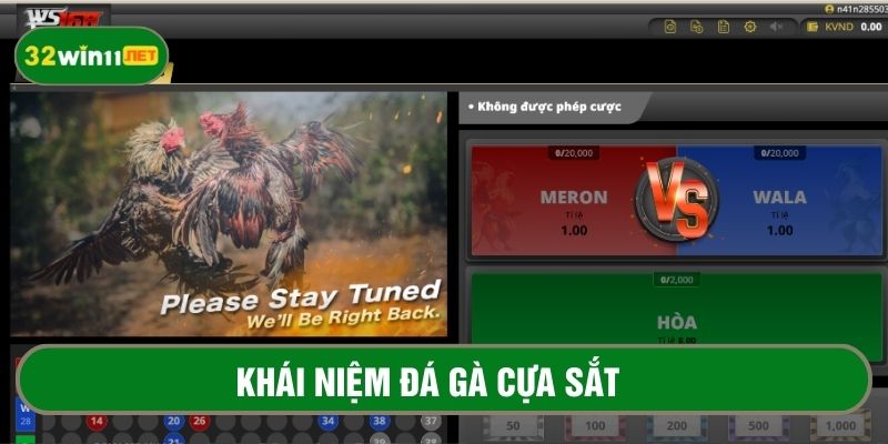 Khái niệm chi tiết về bộ môn đá gà cựa sắt 