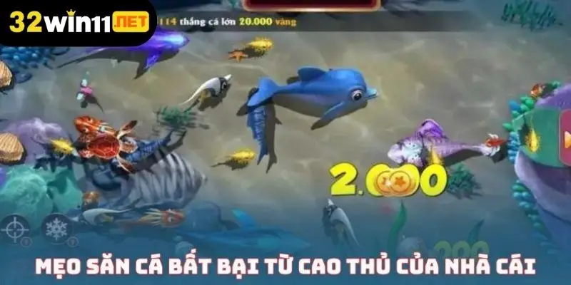 Mẹo săn cá bất bại từ cao thủ của nhà cái