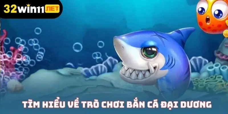 Tìm hiểu sâu hơn về bắn cá đại dương